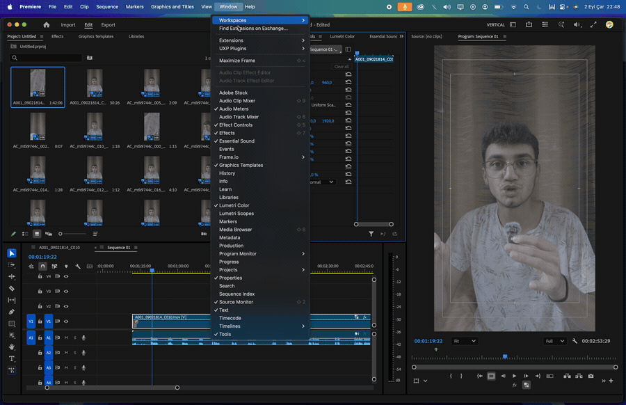 Premiere Pro'nun Window menüsünden UXP Plugins altında SectraLabs panelinin açılması